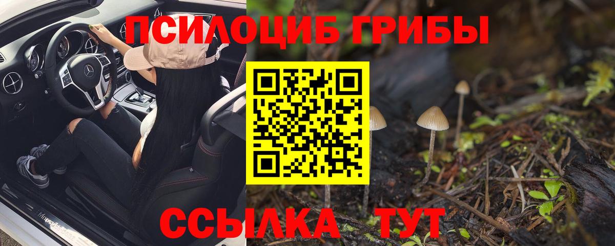 Псилоцибиновые грибы Magic Shrooms Барабинск