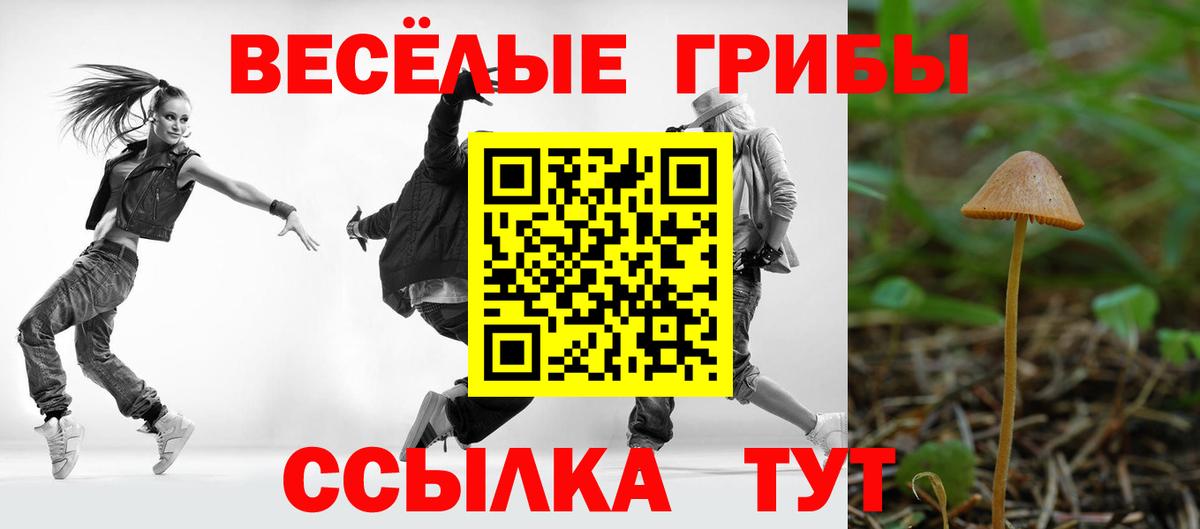 Барабинск  Псилоцибиновые грибы ЛСД  купить наркотики цена  Вход с VPN 